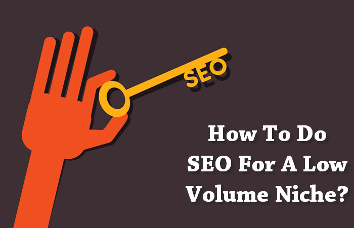 How To Do SEO For A Low Volume Niche